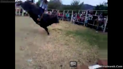 JARIPEO RANCHERO UN FATAL ACCIDENTE DONDE UN JINETE SE ESTRELLA EN EL METAL MIENTRAS MONTA A UN TORO SALVAJE ABRIL 2016
