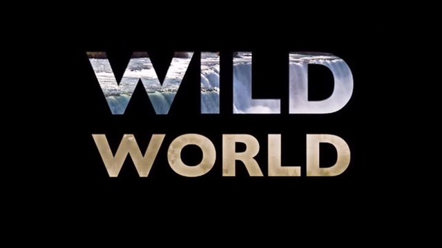 Мир Дикой Природы 07. На раскопках прошлого