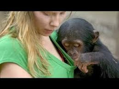 Baby Swimming - Baby Underwater - Cute Baby by Funny Videos Channel