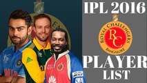IPL 2016- Royal Challengers Bangalore Squad -- Player List RCB Team 2016 - YouTube