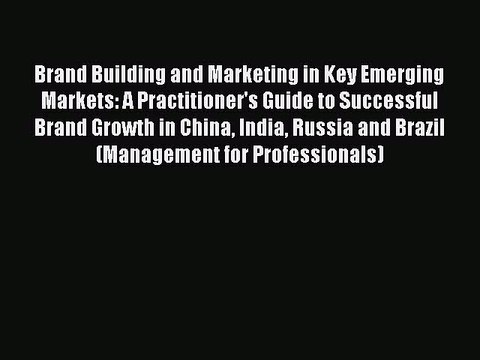 Read Brand Building and Marketing in Key Emerging Markets: A Practitioner's Guide to Successful