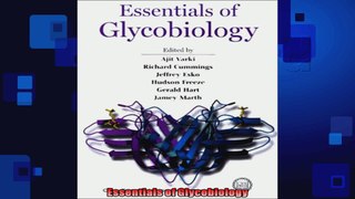 FREE DOWNLOAD   Essentials of Glycobiology  PDF FULL