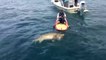 Wild Fishing in Open Sea using Surfboard - The Biggest Grouper Fish ever catch