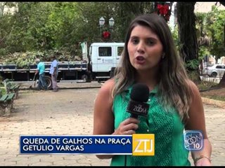30-12-2014 - QUEDA DE GALHOS - ZOOM TV JORNAL