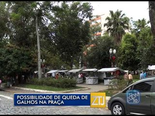 05-01-2015 -  QUEDA DE GALHOS - ZOOM TV JORNAL