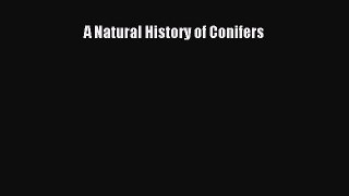 Download A Natural History of Conifers PDF Online