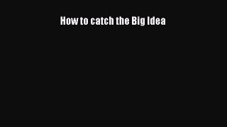 Download How to catch the Big Idea Ebook Online