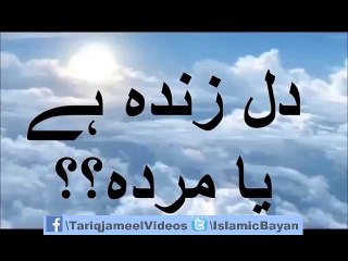 Molana Tariq Jameel Best Videos Daily