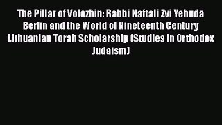 Download The Pillar of Volozhin: Rabbi Naftali Zvi Yehuda Berlin and the World of Nineteenth
