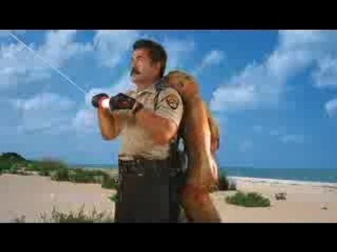 Paris Hilton, chanson parodie