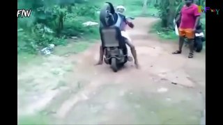 New Funny videos  of April - Funny fails 2016 - Try not to laugh challenge 2016