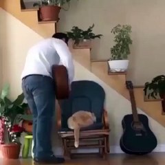 Sahibinden Çok Kötü İntikam Alan Kedi