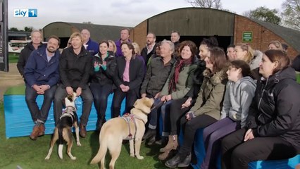 Des chiens pilotent un avion à 3000 pieds d'altitude