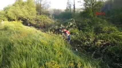 Düzce Kamyonet Tem?de Ağaca Çarptı: 2 Ölü, 1 Yaralı