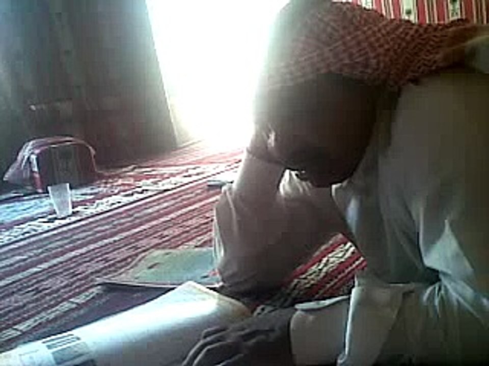 الثعلب !