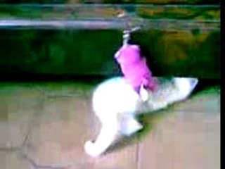 Dragann solo avec sa peluche 2