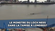 Le monstre du Loch Ness dans la Tamise à Londres?