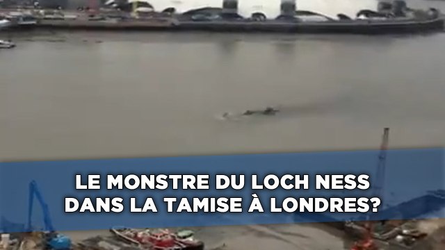Le monstre du Loch Ness dans la Tamise à Londres?