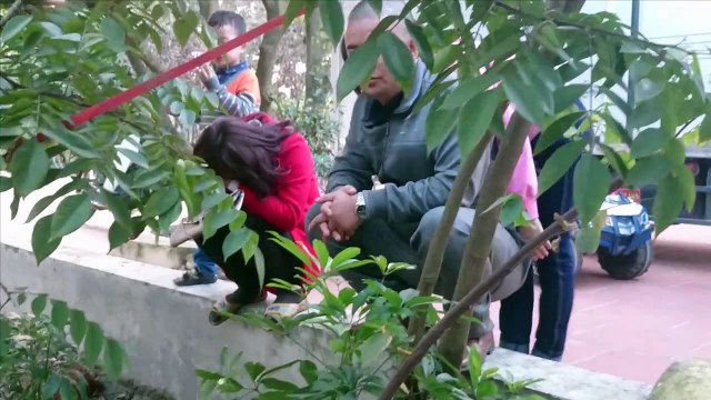 Liên Khúc , Thuyền Bỏ Bến Xưa, nhạc trữ tình remix , ( Lồng phim kiếm hiệp )