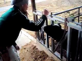 Kibbutz Yotvata, Israel.