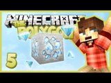 Minecraft 1.8 The Polygon SMP 