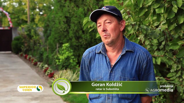 LK hibridi kukuruza – jer svaki dobro rađa_445_26.03.2016.