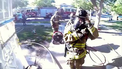 L'emozionante salvataggio del gattino da parte di un vigile del fuoco