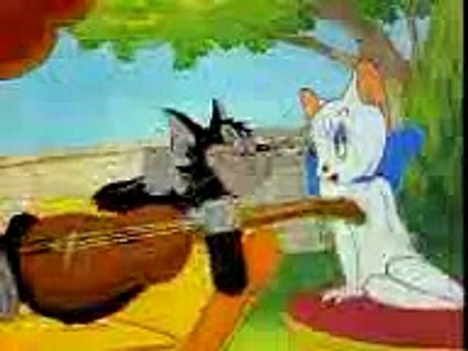 Altaf raja cat