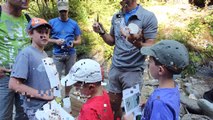 All inclusive Sommerurlaub in Österreich mit Kindern - Sport- & Familienhotel Frühauf in Kärnten