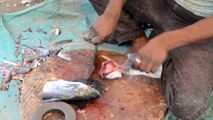 Street FOOD Fish Cutting India Fish Market India