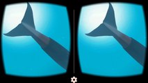 Blue whale VR Google Cardboard 3D SBS 1080p gameplay Virtual Reality video