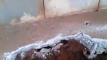 Mouse sold on 300 rupees in KPK