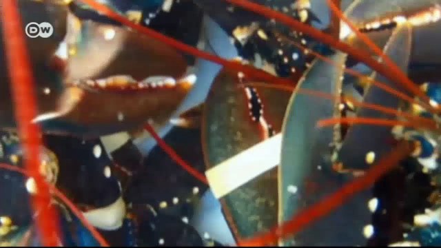 Saint-Malo, Brittany | Euromaxx