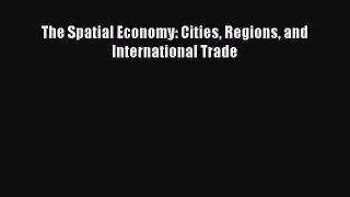 Read The Spatial Economy: Cities Regions and International Trade Ebook Free