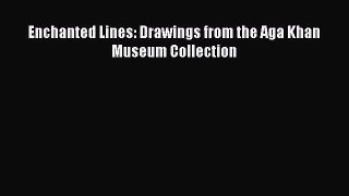 Read Enchanted Lines: Drawings from the Aga Khan Museum Collection Ebook Free