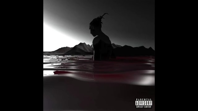 Robb Bank$ x Pouya Half Bae