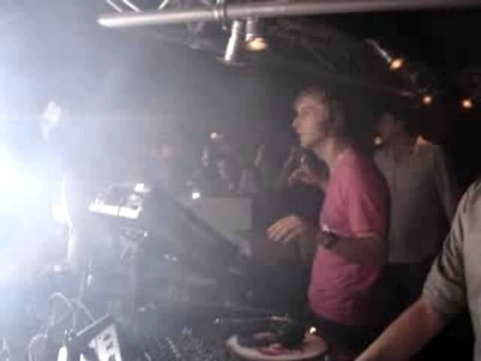 david guetta chat noir