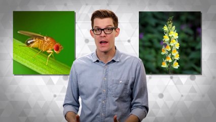 Is Inheritance Really All In Our Genes?