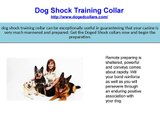 dog shock training collars