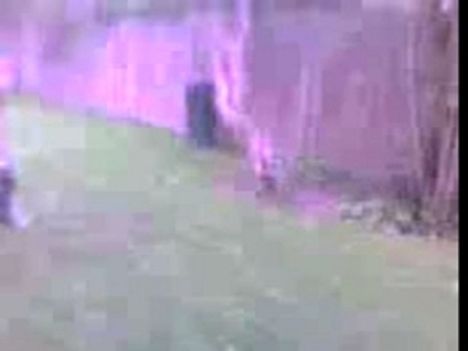 La chute