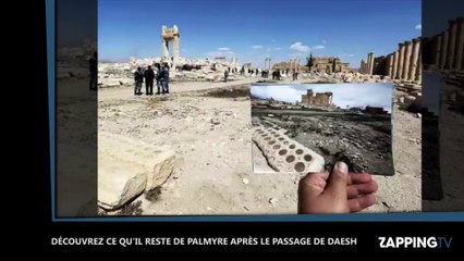 Syrie : Découvrez Palmyre avant et après les destructions de Daesh (Vidéo)