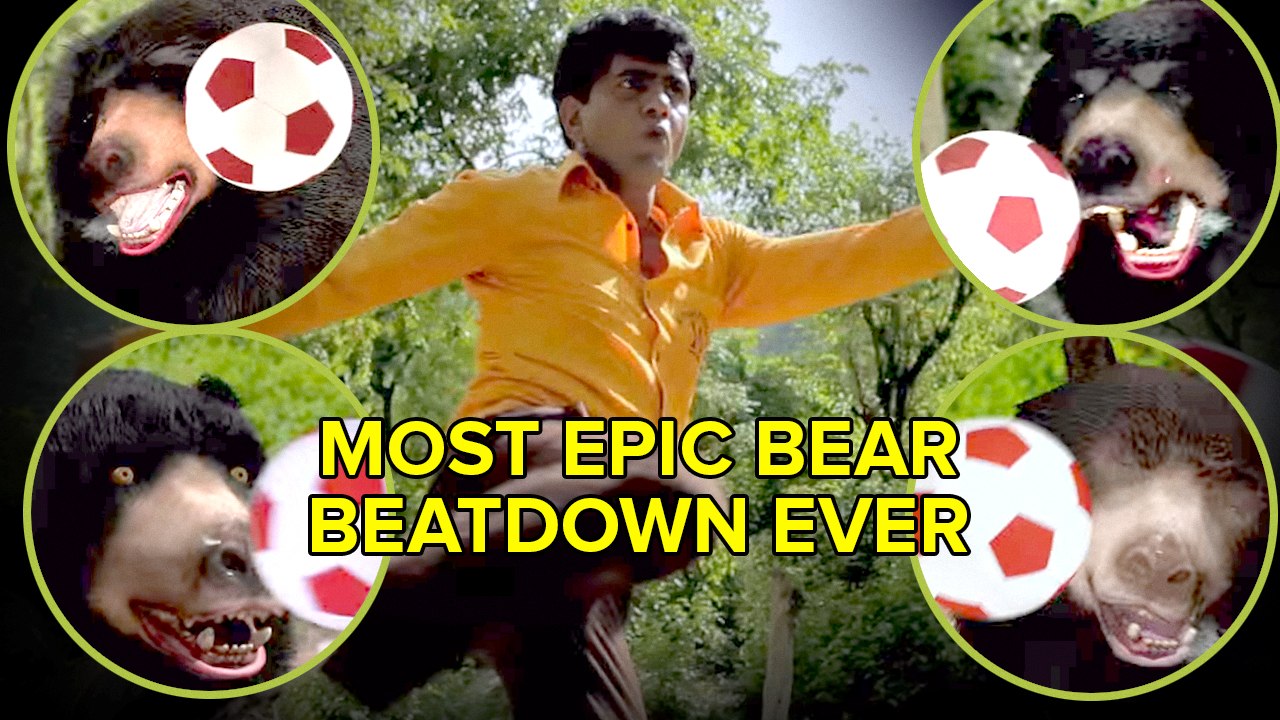 Most Epic Bear Beatdown Ever