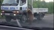 Des ours affamés arrêtent les voitures pour de la bouffe en Russie !