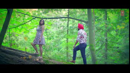MEHTAB VIRK- TAARA ( Video Song) - Latest Punjabi Song 2016 -Apnapunjab