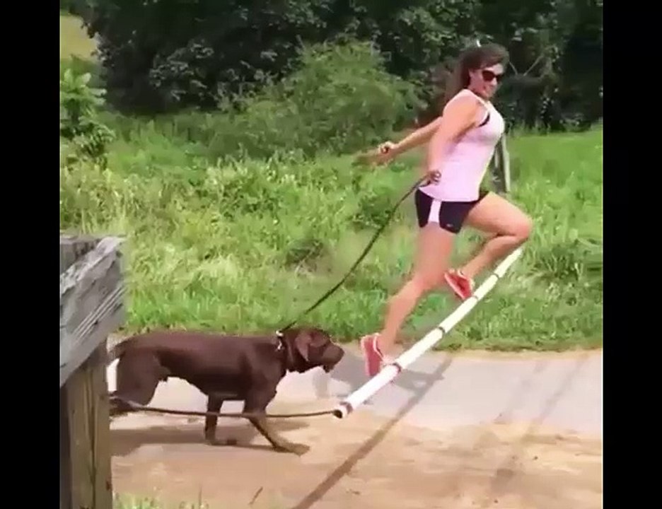 Best funny video clips |  funny video