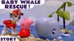 BABY WHALE RESCUE --- Join Marshall from Paw Patrol with Peppa Pig as they use the Paw Patroller and Play Doh blankets to rescue a Baby Whale, Featuring Thomas and Friends, George, Chase, Zouma, Rubble, Rhyder and many more family fun toys
