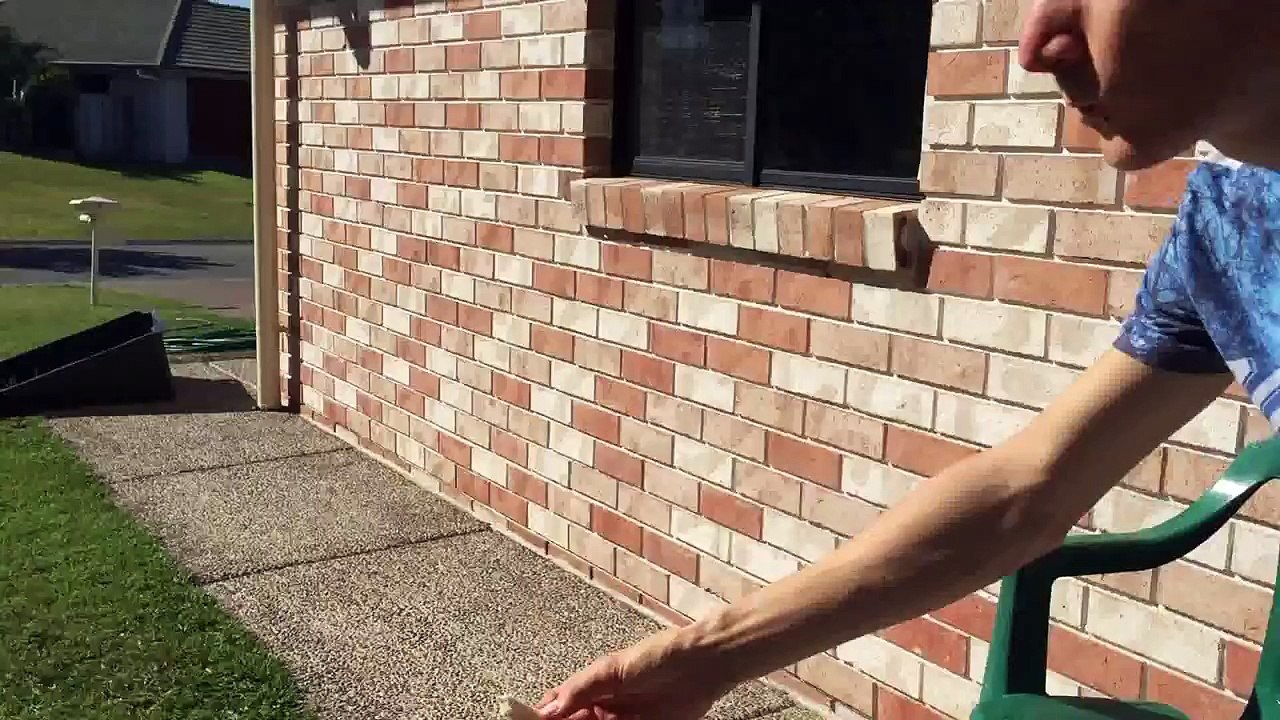 Feeding A Magpie