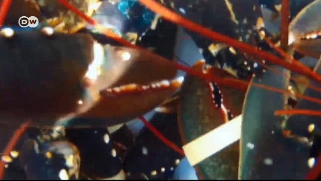 Reiseziel Saint-Malo | Euromaxx