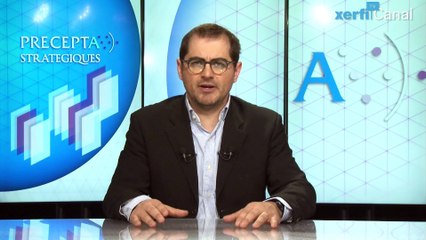 Sébastien Liarte, Xerfi Canal L'industrie pornographique et la guerre des standards