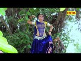 Pili Lungadi Silwaide -  Teja Ji Jata Mai Jamo Jor Payo Re ||  || Latest Rajasthani Songs 2015